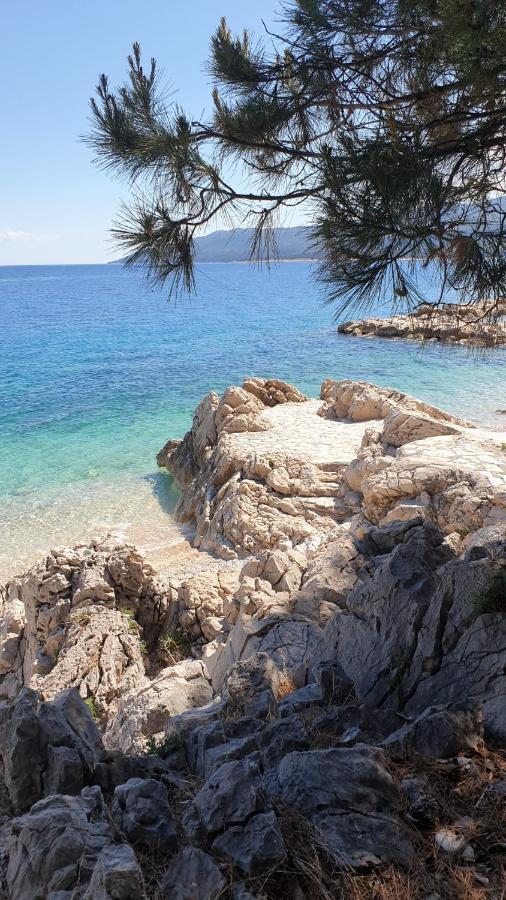 Ferienwohnung Mit 2 Schlafzimmer Oder Studio Apartment - Istrien-Fiorini Brtonigla Εξωτερικό φωτογραφία