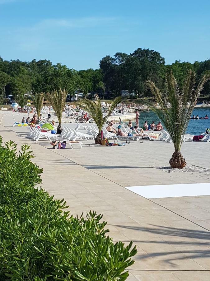 Ferienwohnung Mit 2 Schlafzimmer Oder Studio Apartment - Istrien-Fiorini Brtonigla Εξωτερικό φωτογραφία